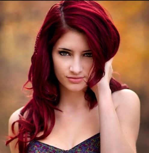 Dark Rose Red Hair Wiki Hair Amino