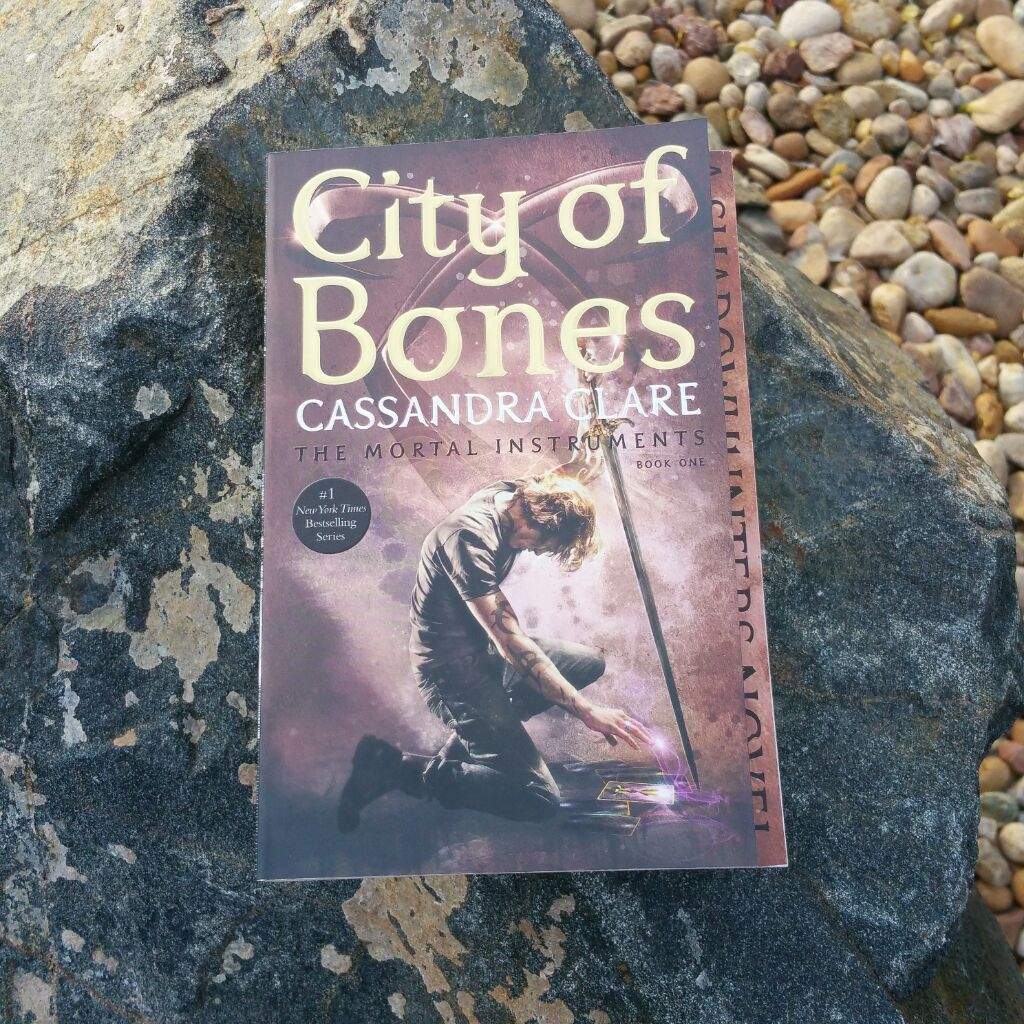 city of bones books in order