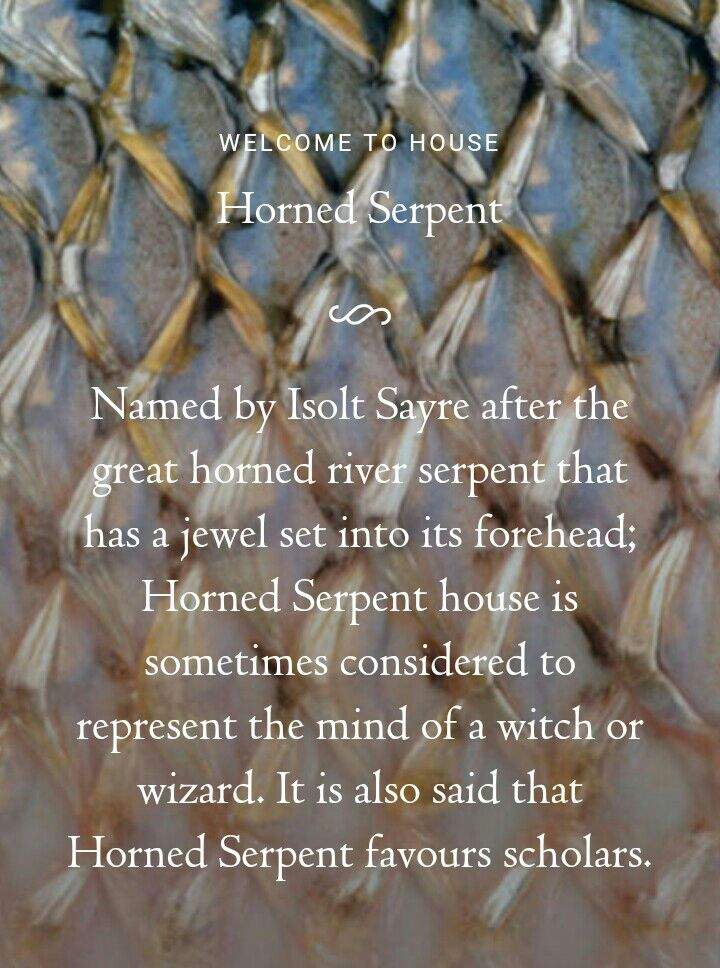 Artwork and Ilvermorny House Harry Potter Amino