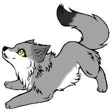 Featured image of post Anime Wolf Puppy