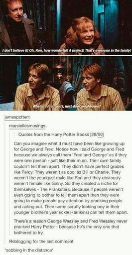 Some Fred And George Moments Harry Potter Amino 7891