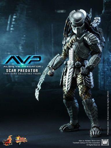 download avp scar