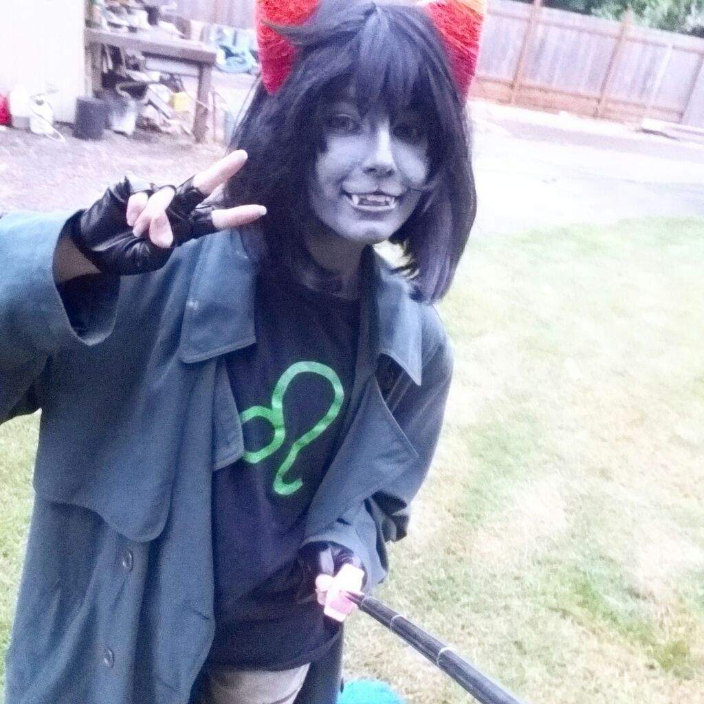 Nepeta Leijon Wiki Homestuck And Hiveswap Amino