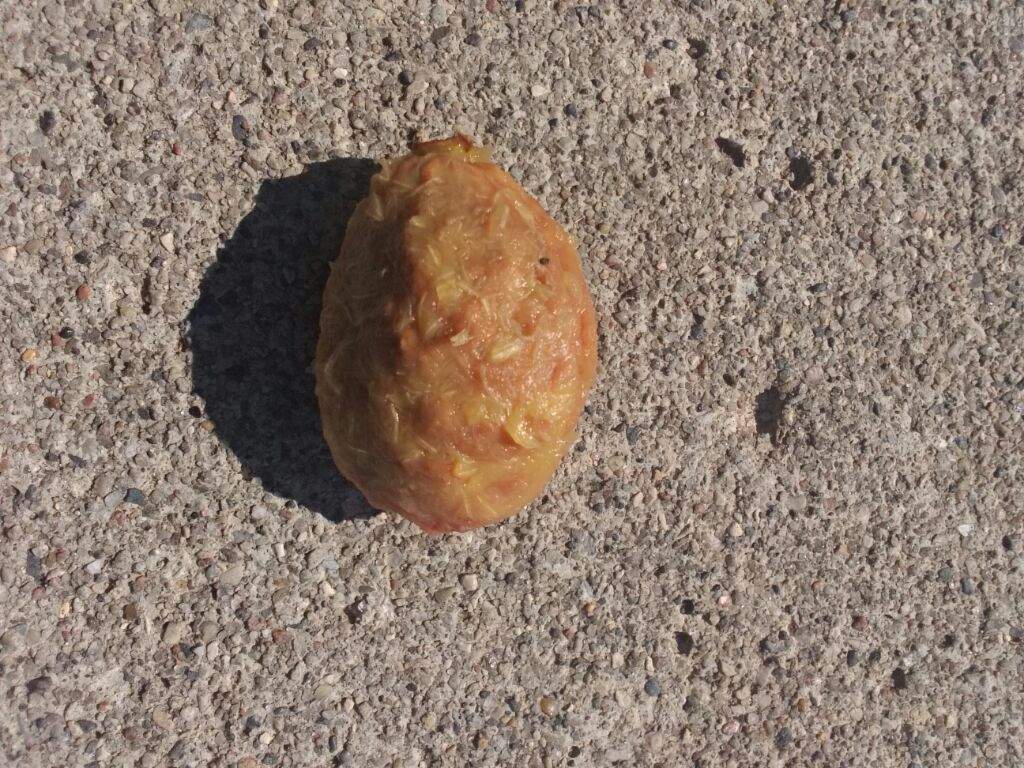 Homemade Nectarine Pit Ring LOTR Amino