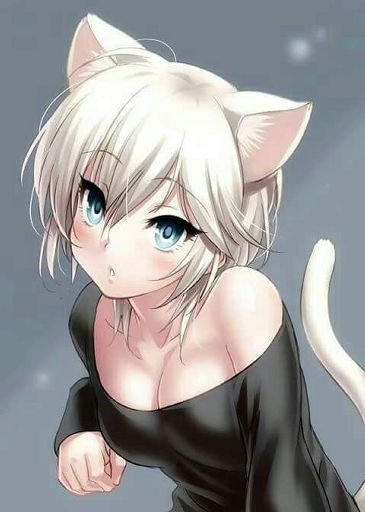 Nekos Kawaii Anime Amino