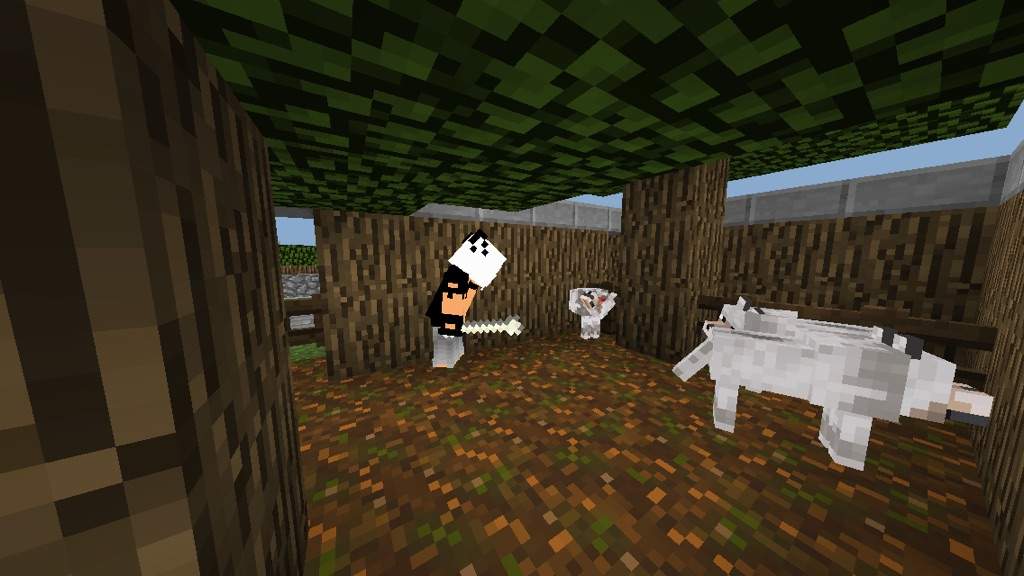 Petting Zoo build!! Minecraft Amino