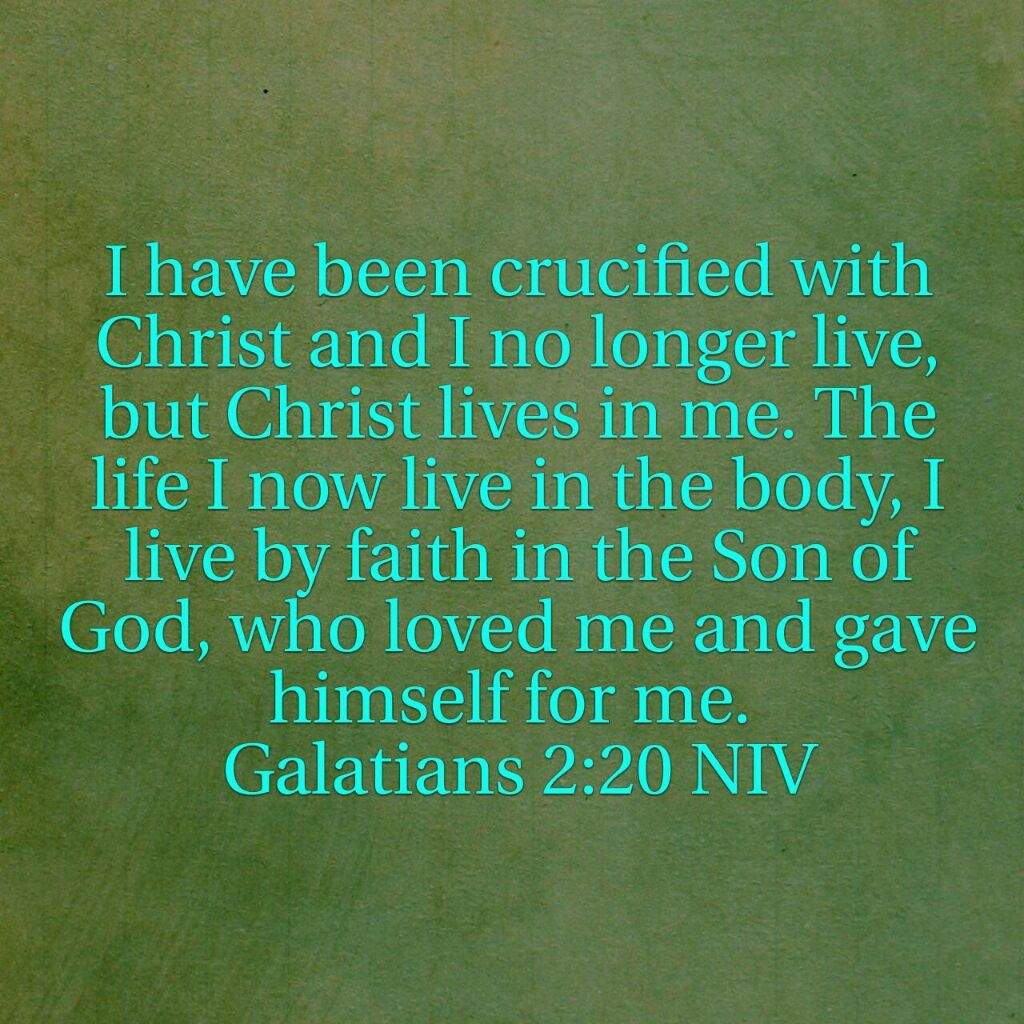 Galatians 2 20 The Daily Bible Christian Genesis Amino