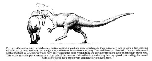 allosaurus period