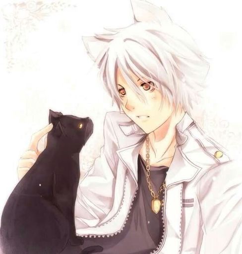 Cat Man Neko | Romance Anime Amino