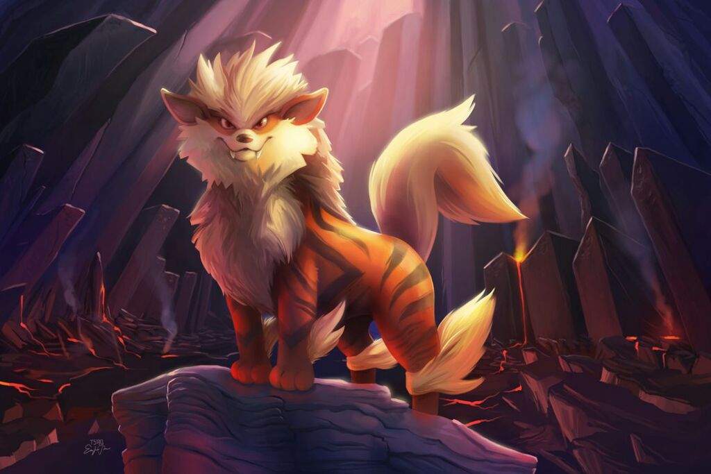 arcanine-vs-ninetales-pok-mon-amino