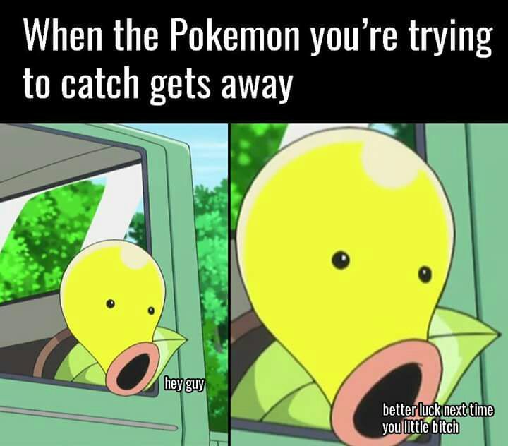 Pokemon Go Memes Pokémon Amino