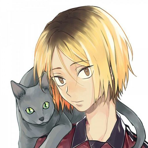 kenma teddy