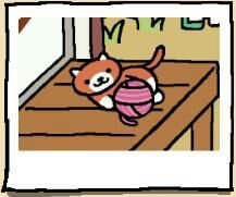 Ginger | Wiki | Neko Atsume Amino