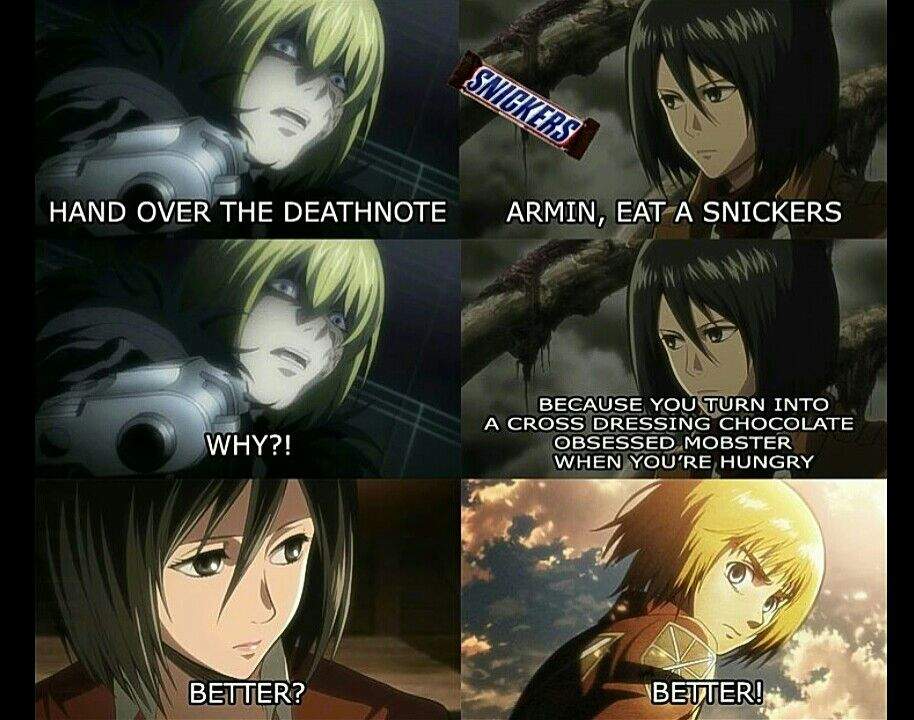 Aot/SnK memes part 2 | Anime Amino