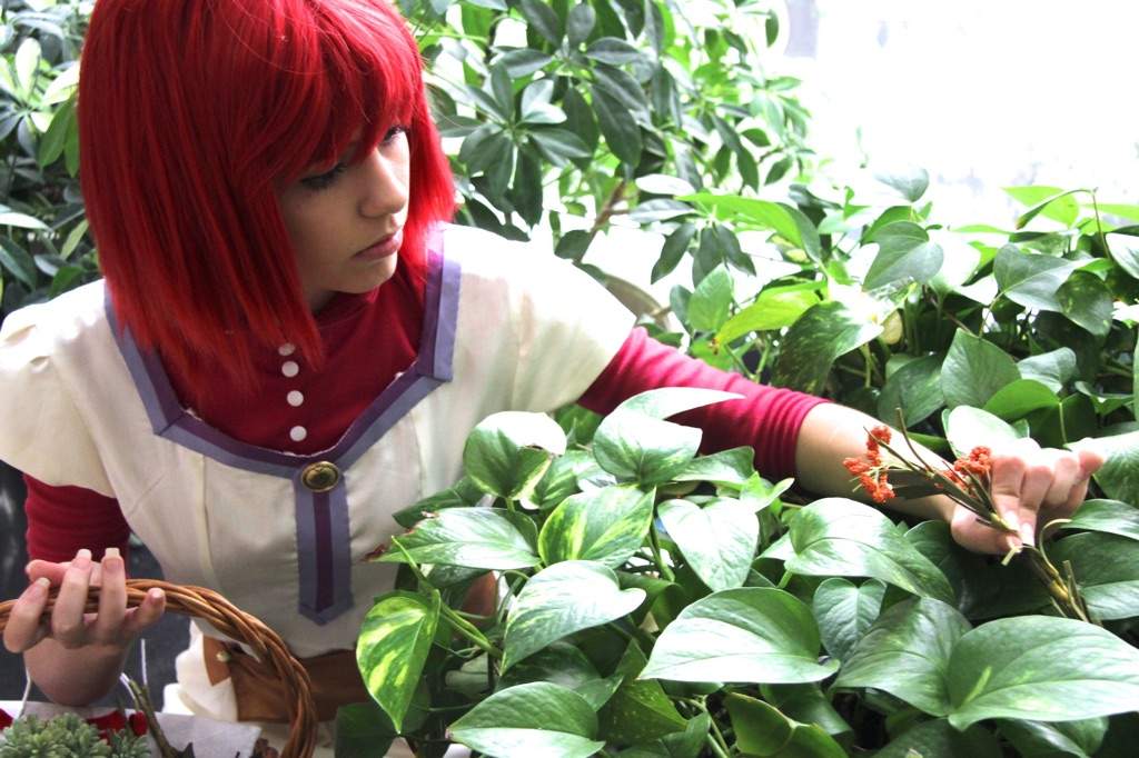 Shirayuki from Snow White with the Red Hair | Cosplay Amino