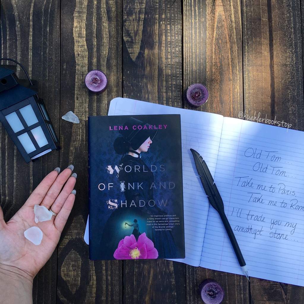 Worlds Of Ink And Shadows by Lena Coakley (short review) Books & Writing Amino