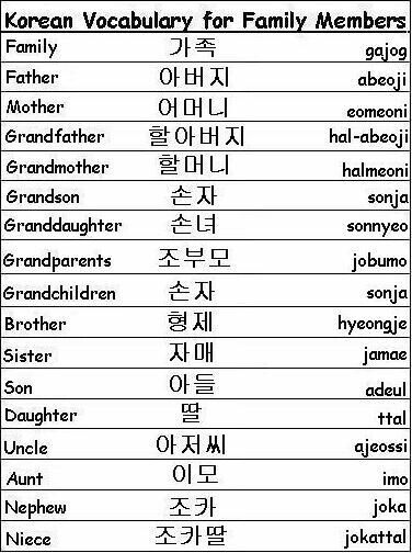 Family Members Korean Language Amino