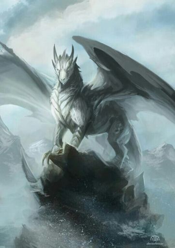 dragons of the north