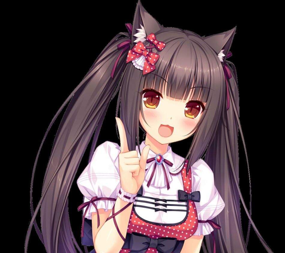 Reasons You Should Totally Love Nekos | Neko Amino