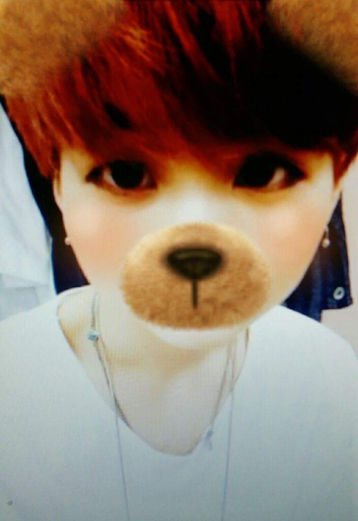 suga teddy bear