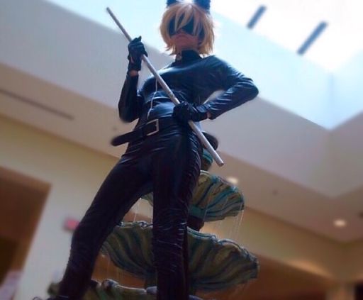 Chat Noir Cosplay Amino