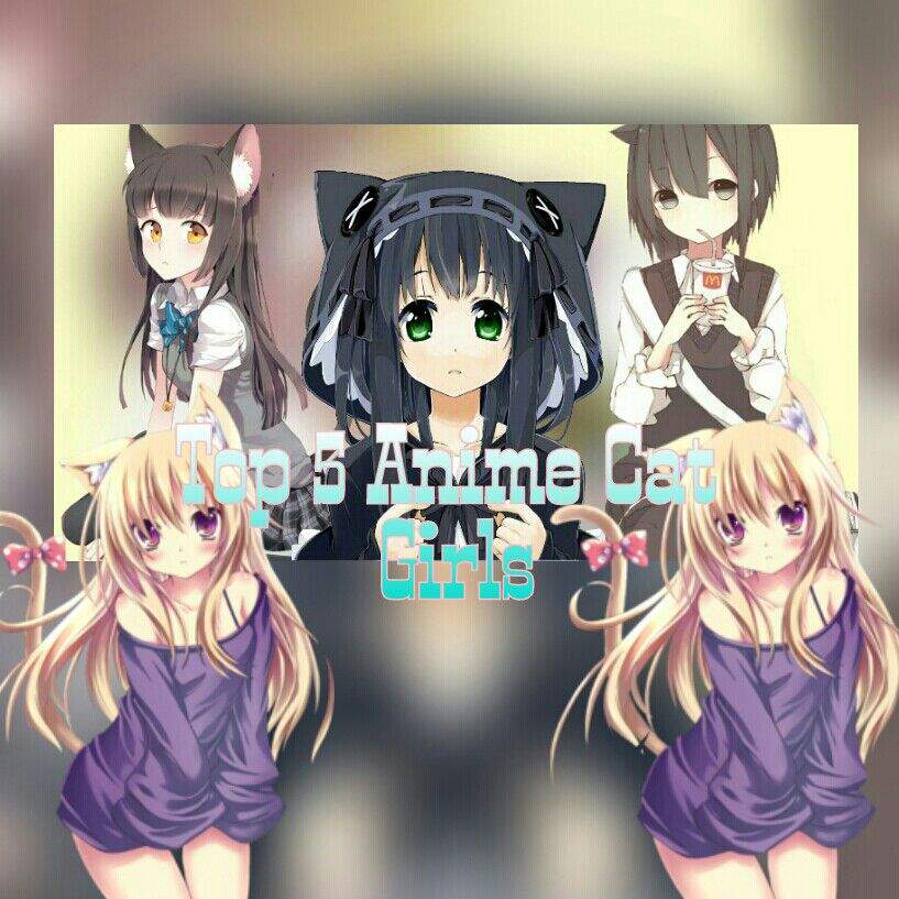 🐱Top 5 Anime Cat Girls 🐱 | Neko Amino