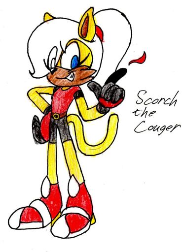 Scorch The Cougar Sonic The Hedgehog Amino