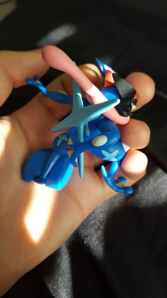 tomy ash greninja