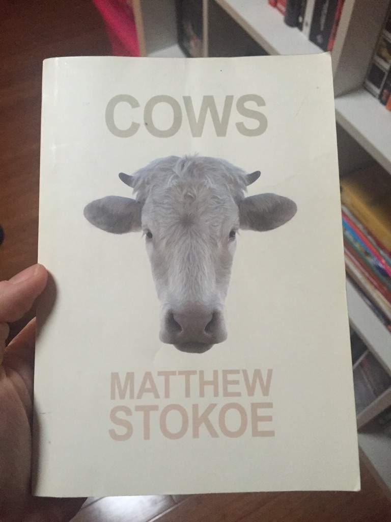 Cows by Matthew Stokoe Horror Amino
