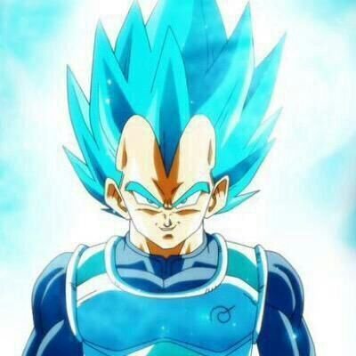 vegeta gray suit
