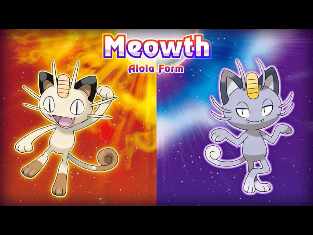 Alolan Persian !!!! Pokémon Amino