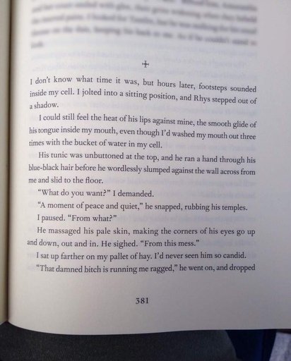 the name of the rose book review the name of the rose book review