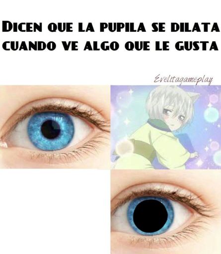 Mi Pobre Pupila Anime Amino