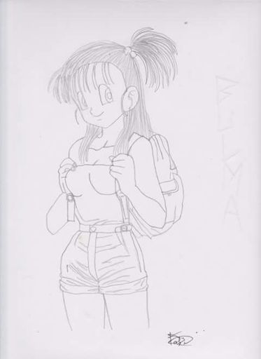 Bulmas Draw Anime Amino 