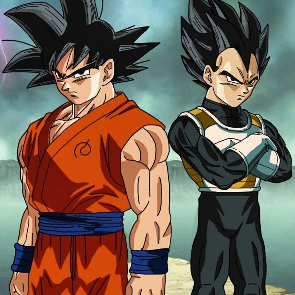 vegeta is better than goku