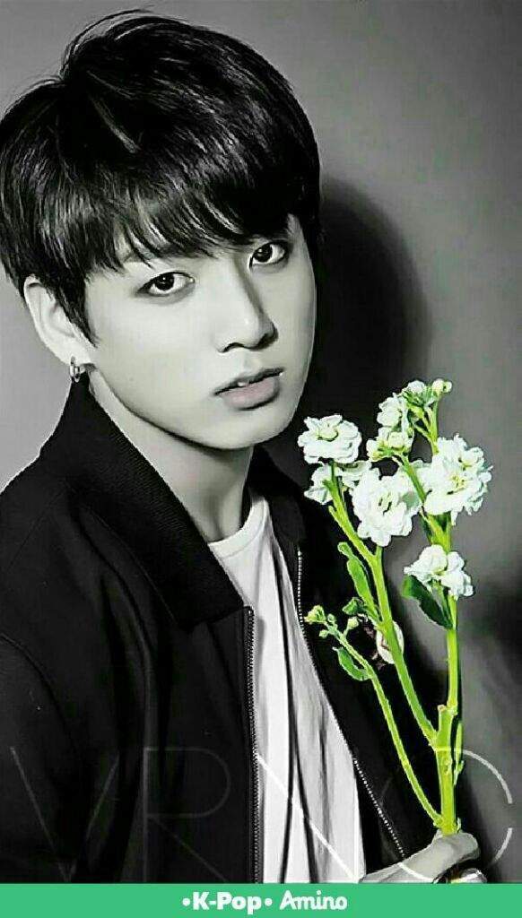 Jungkook Biografia Curiosidades K Pop Amino