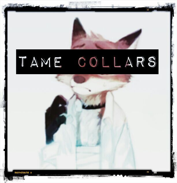 Zootopia's Tame Collars (Discussion) Cartoon Amino