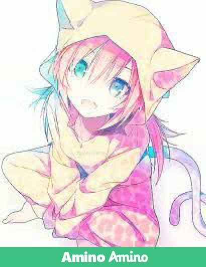 GATOS HUMANOS | •Anime• Amino