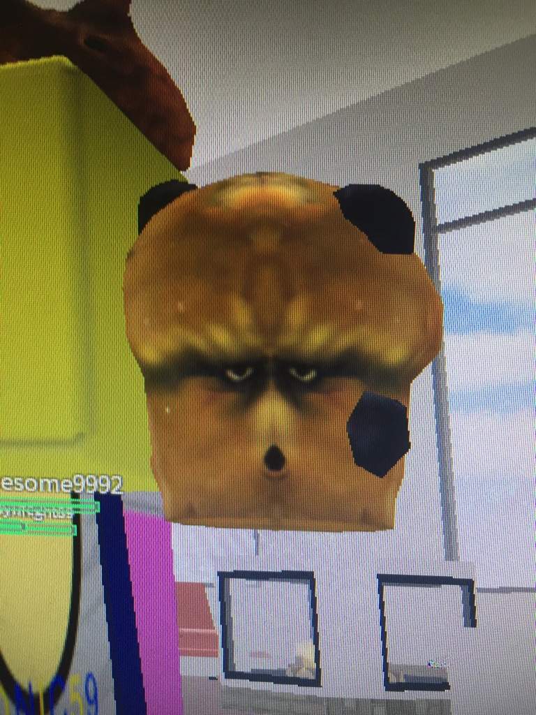 A Muffin Have A Face Roblox Amino