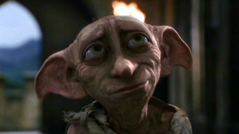 harry potter and dobby