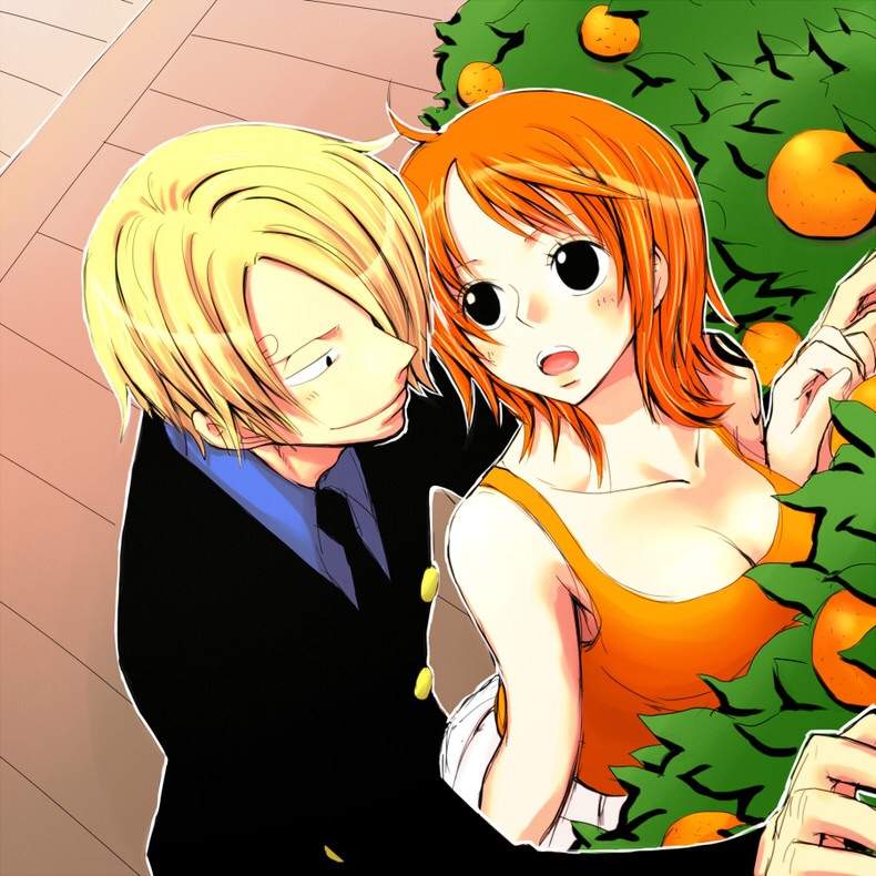 One Piece Sanji X Nami Anime Amino