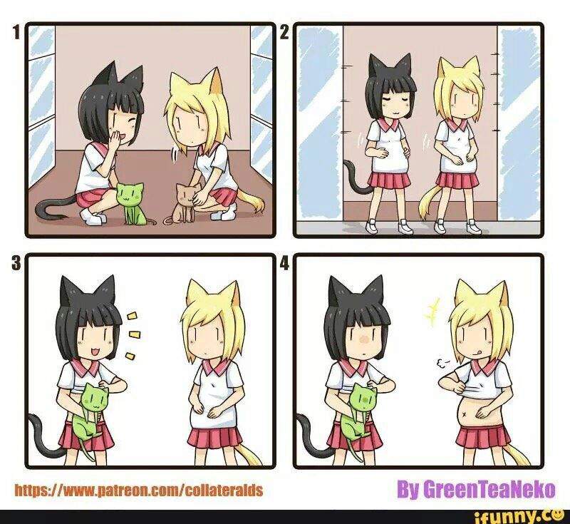 GreenTeaNeko | Wiki | •Anime• Amino