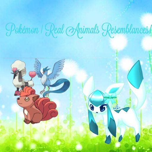 ❄️Pokémon | Based On Real Animals?❄️ | Pokémon Amino
