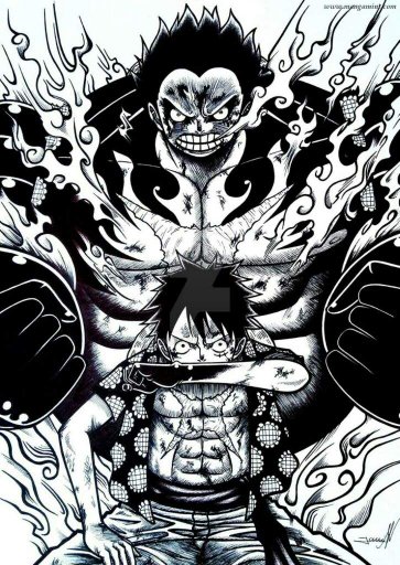 Gomu Gomu No Mi Or Yami Yami No Mi