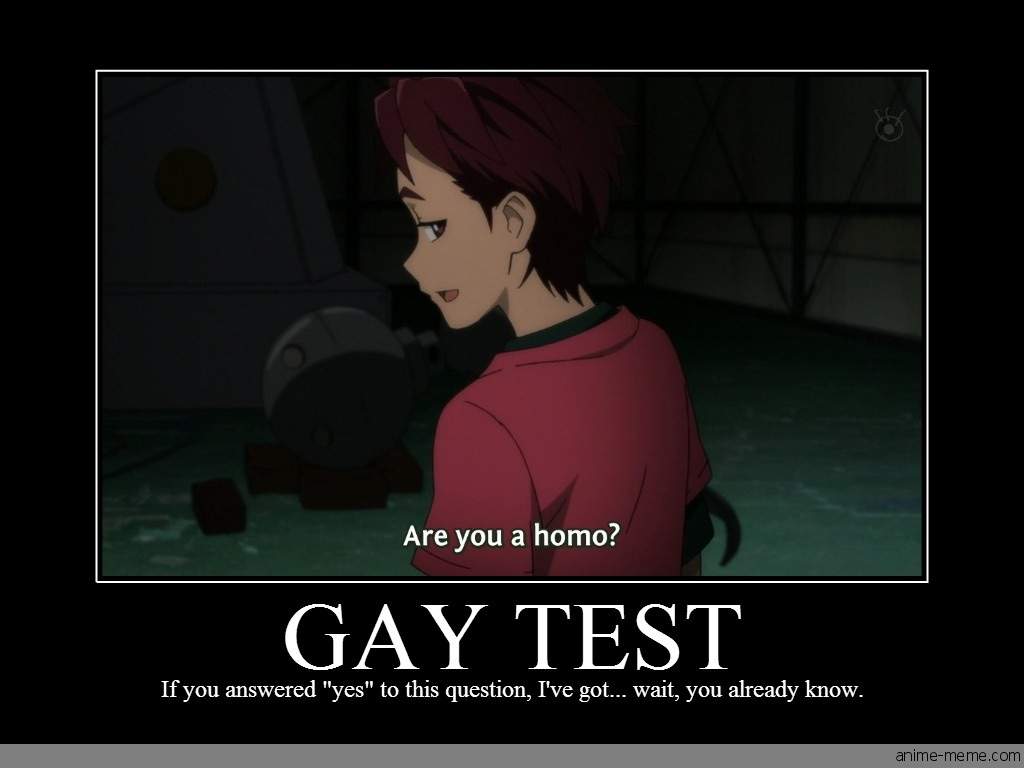 am i gay test meme