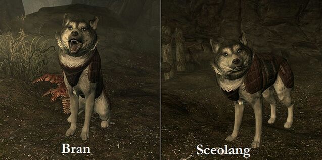 Can The Dawnguard Dogs Die?