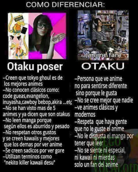 Como Diferenciar A Un Otaku Poser Y Un Verdadero Otaku •anime• Amino