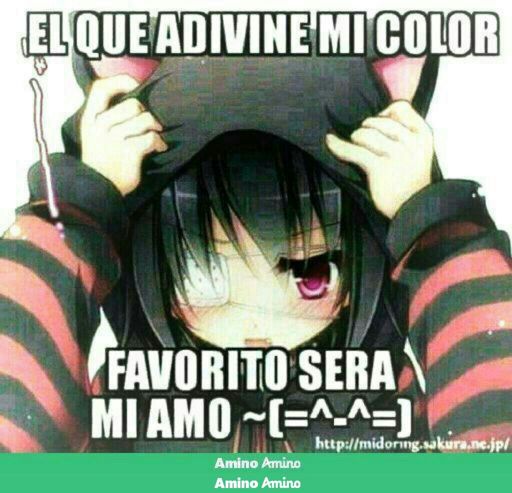 A Que No Adivinan Muajajaa Hunter X Hunter√ Amino