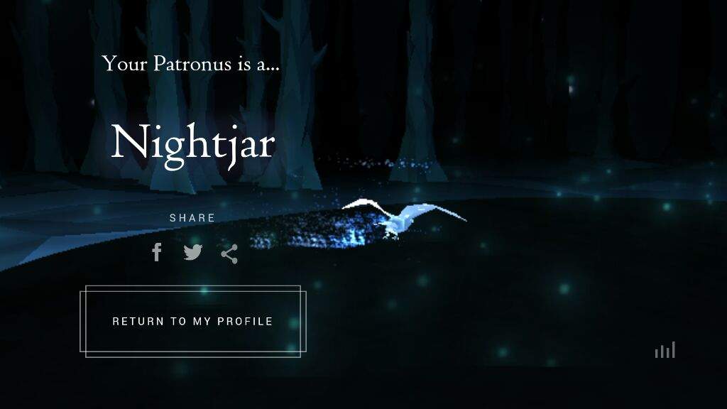 my-patronus-harry-potter-amino