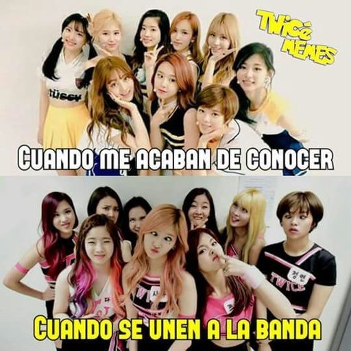 Tuais | Wiki | •K-Pop• Amino